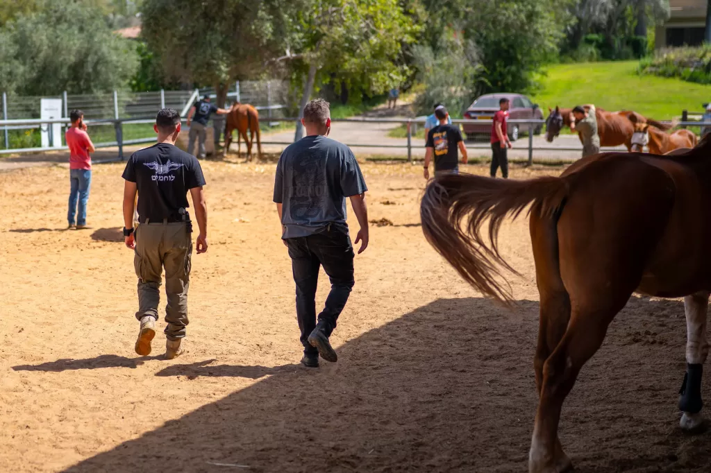צילום וידאו לגיוס כספים
