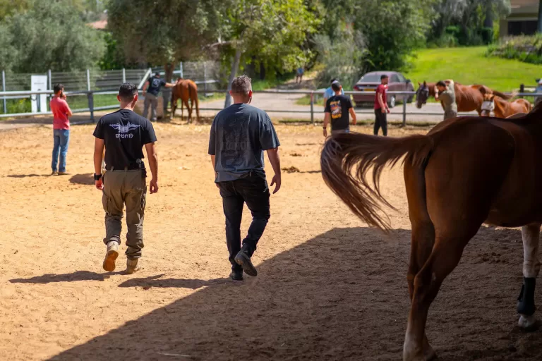 פרויקט "לב חזק"